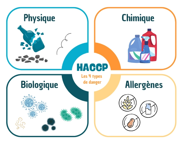 infographie-illustrant-les-4-familles-de-risques-ou-types-de-dangers-selon-les-normes-haccp-signification-haccp