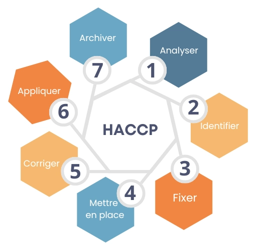 infographie-illustrant-les-7-principes-haccp-en-restauration