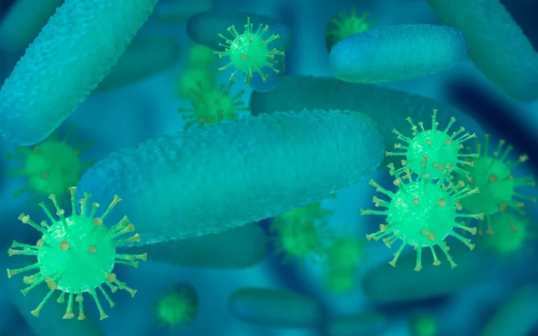 Illustration 3D de bactéries et virus