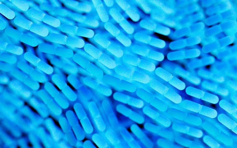 Représentation de bactéries pathogènes